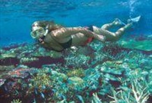 Outer Barrier Reef with Sunlover Cruises